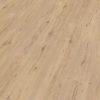 38U ROBLE TROYA
